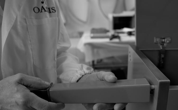 БРЕНД: OASIS Поставщики роскошной итальянской мебели с 1908 года