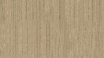 White Chestnut E0022