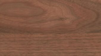 Walnut E0012