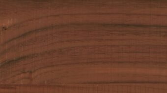 Carved Walnut E0020