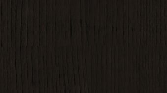 Black Chestnut E0025